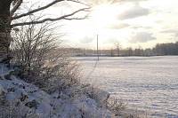 Winter_Bild