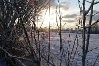 Winter_Bild